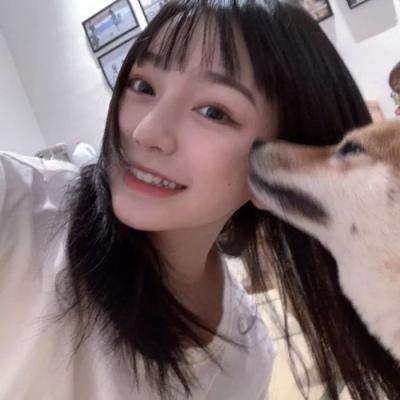 pk gun app下载安装